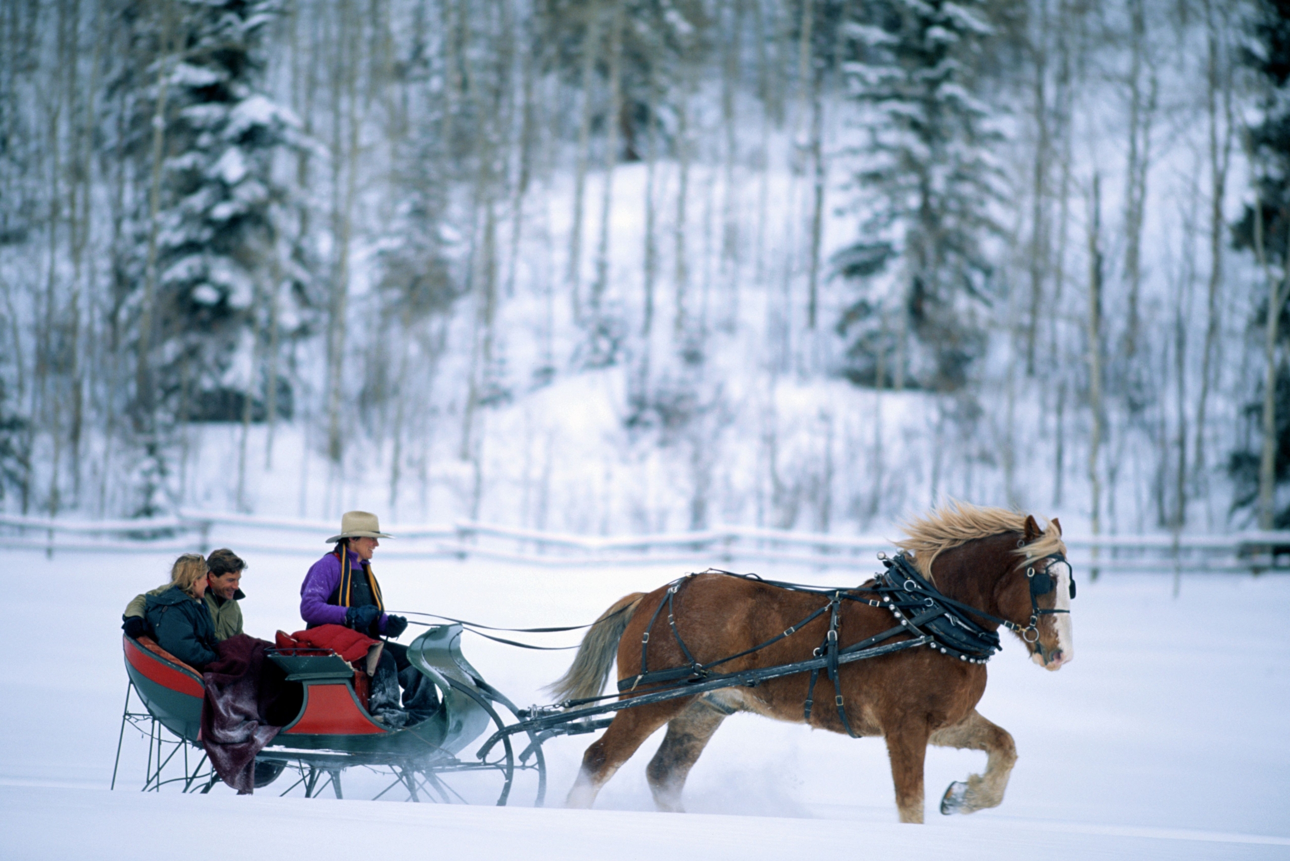 sleigh ride outdoor adventure